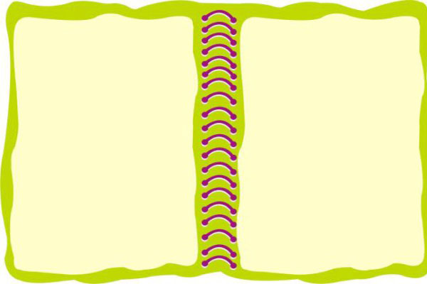 【蒙学之冠是哪本书】《蒙学》增广贤文